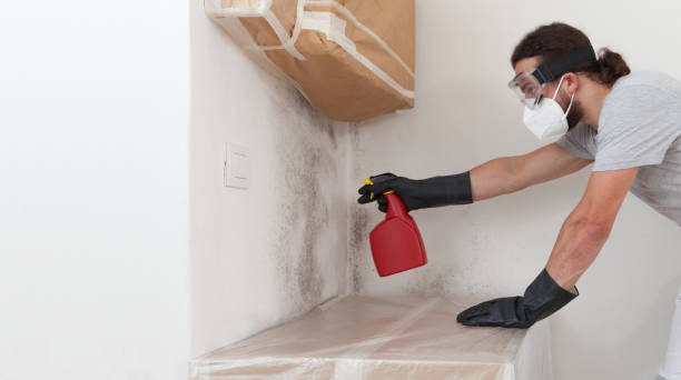 Professional Attic Mold Remediation technician working in Freeport, FL